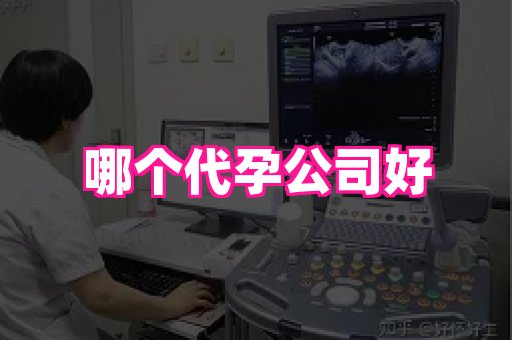 梦美助孕网 1