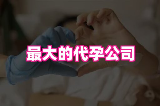 梦美助孕网 2